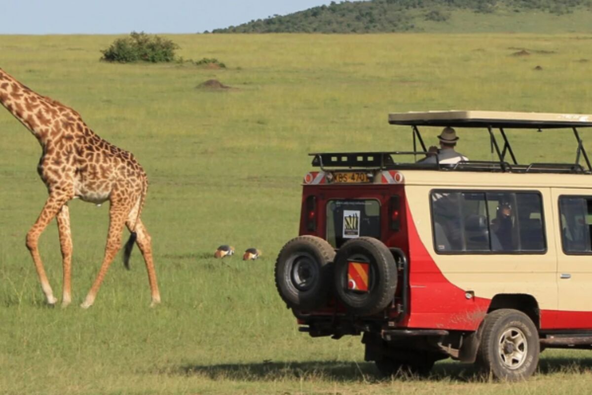 all inclusive african safari tours